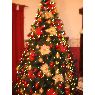 Mabel's Christmas tree from Buenos Aires, Argentina
