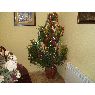 Manuel Dominguez Duarte's Christmas tree from C�ceres, Espa�a