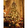 Sapin de No�l de Jorge Barrios Muriel (C�ceres, Espa�a)