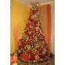 Sapin de No�l de Cecilia Sojo (Caracas, Venezuela)