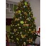 Ericka Gonzalez Olvera's Christmas tree from M�xico, M�xico