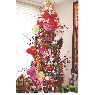 Francisco Lopez's Christmas tree from Piedras Negras, Coahuila Mexico