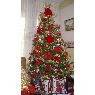 Ra�l Mendoza's Christmas tree from Cabudare, Venezuela