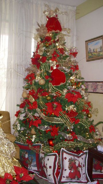 Ra�l Mendoza (Cabudare, Venezuela)