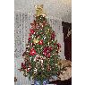 Hern�n Chumpitaz's Christmas tree from Per�