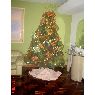 mayka's Christmas tree from Caracas