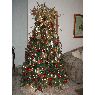 Mar�a D�az de Polanco's Christmas tree from Santo Domingo, Republica Dominicana
