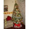 Aurora Mar�a Teresa de jesus Reyes Reyes's Christmas tree from Per�