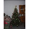 Weihnachtsbaum von H�ctor (La Galga, Islas Canarias, Espa�a)