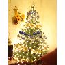 Paulo Jimenez's Christmas tree from Huancayo, Per�