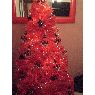 Carmen's Christmas tree from La L�nea de la Concepci�n, C�diz, Espa�a