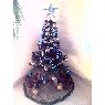 Matias's Christmas tree from Treinta y Tres , Uruguay