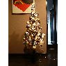 Weihnachtsbaum von Kajun Kakizaki (Hiroshima, Japan)