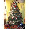 Jose Gregori Lurbe's Christmas tree from Valencia, Espa�a