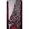 Perez Eduardo's Christmas tree from Buenos Aires, Argerntina