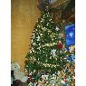 Katherine Hernandez's Christmas tree from Cali, Colombia