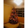 Yajaira Tovar's Christmas tree from Venezuela