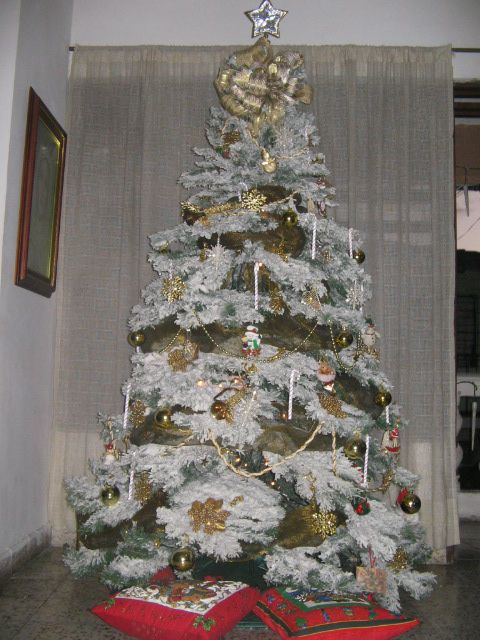 Luz Estella Mu�oz Barrientos (Tulua, Colombia)