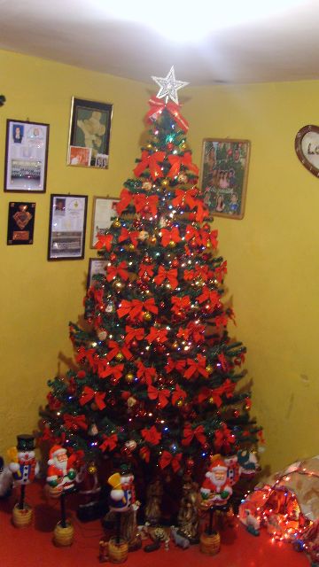 Rafael Vega Heraldo (Iquique, Chile)