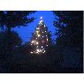 Enrique Arenz's Christmas tree from Mar del Plata, Argentina