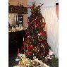 Maelene A�ez's Christmas tree from Maraca�bo, Venezuela