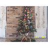 Efrain A.'s Christmas tree from Oca�a, Colombia