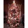 Weihnachtsbaum von Leo Armenta (Hermosillo, Sonora, M�xico)