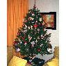 Concha's Christmas tree from Madrid, Espa�a