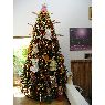 Weihnachtsbaum von Jos� Rojas (Lecher�a, Venezuela)