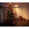 Sapin de No�l de Patricia (Argentina)