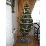 Rafa's Christmas tree from Madrid, Espa�a