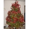 Dalia Liendo de Rodriguez's Christmas tree from Vargas, Venezuela