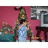 Pedro Carlos Leigh Barreto's Christmas tree from Per�