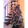 Sara, Linda y Eva's Christmas tree from M�laga, Espa�a