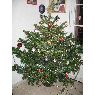 Montse's Christmas tree from Barcelona, Espa�a