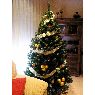 Weihnachtsbaum von Miguel Torres Olmos (SAN PEDRO DEL PINATAR , MURCIA, ESPA�A)