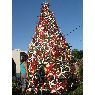 Liliana de Baissero's Christmas tree from San Francisco, C�rdoba, Argentina
