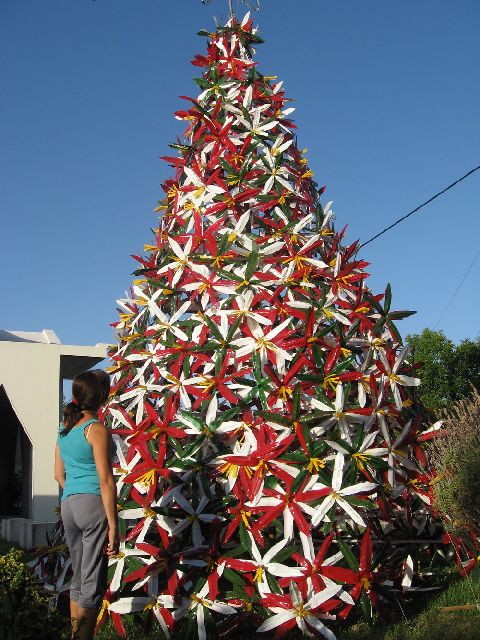 Liliana de Baissero (San Francisco, C�rdoba, Argentina)