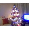 daniel y lina dicristoforo's Christmas tree from lecheria, venezuela