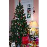 Jourdain's Christmas tree from Clermont Ferrand, France
