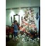Alejandra Rinc�n Lugo's Christmas tree from Venezuela, Zulia