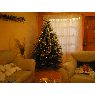Sapin de No�l de Blanca Lemus Vallejos (Iquique, Chile)