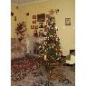 Camila Ailen Mesisca's Christmas tree from Buenos Aires, Argentina