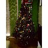 Gemma Celorrio Moya's Christmas tree from Alicante, Espa�a