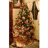 Sapin de No�l de Rosario (M�xico)