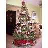 Weihnachtsbaum von Daisy Pacheco (Caracas, Venezuela)