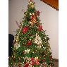 Nathaly Marval's Christmas tree from Magarita, Venezuela