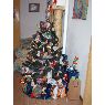 Juan Carlos D'Amario's Christmas tree from Caracas, Venezuela