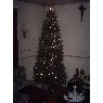 Ricardo Lara's Christmas tree from Catemu, Regi�n Valparaiso, Chile