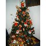Diva de Lizcano's Christmas tree from San Cristobal, Venezuela